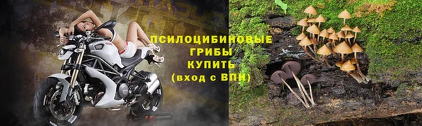 таблы Алексеевка