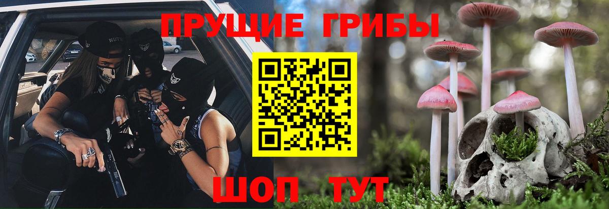Псилоцибиновые грибы прущие грибы Мирный